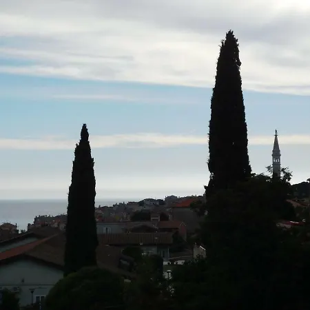Rovinj's Flowers * רוביני