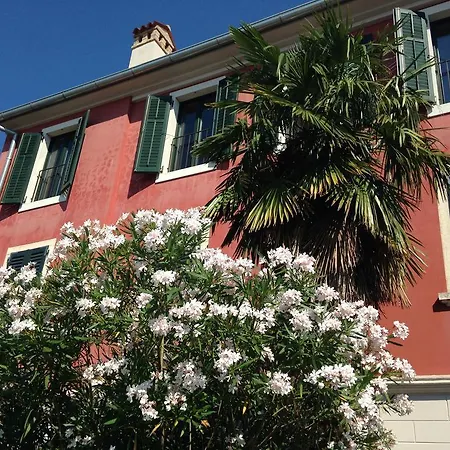 Rovinj's Flowers * Rovinj