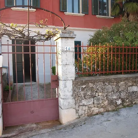 Rovinj's Flowers