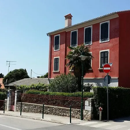 Rovinj's Flowers *