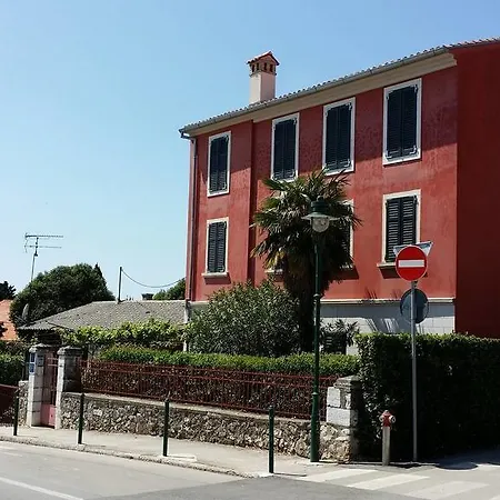 Rovinj's Flowers *