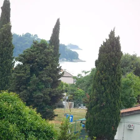 Rovinj's Flowers *