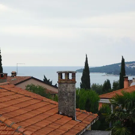 Rovinj's Flowers *